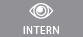 Intern